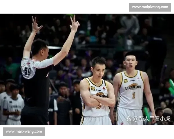 CBA赛季数据深度解析球员表现与球队战绩走势